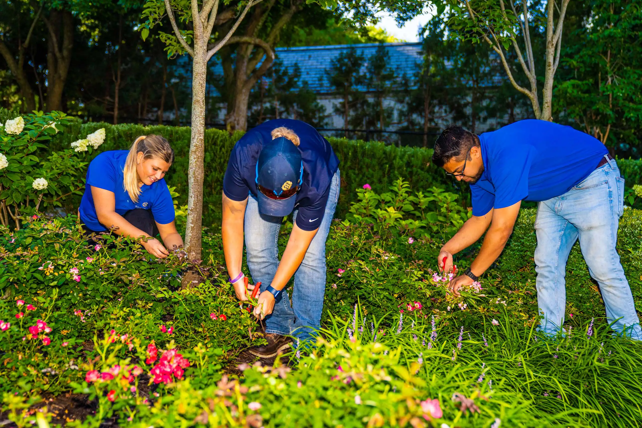 HIGHPRAIRIE_HIGHRESOLUTION_DAY1-32