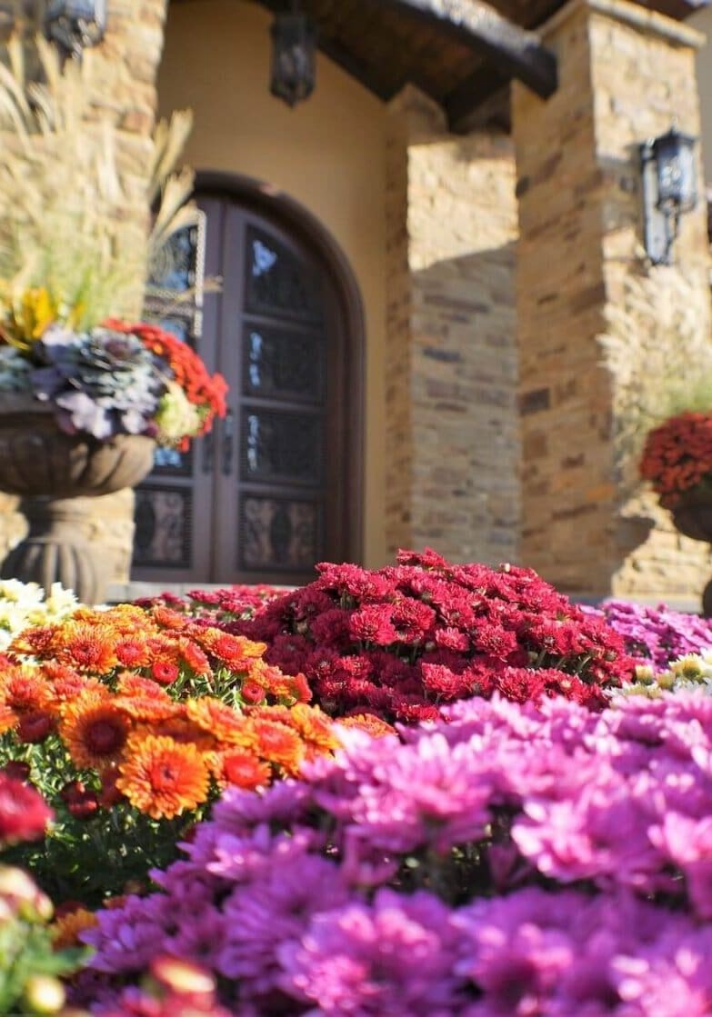 Front Door Garden Landscape Design Kansas City