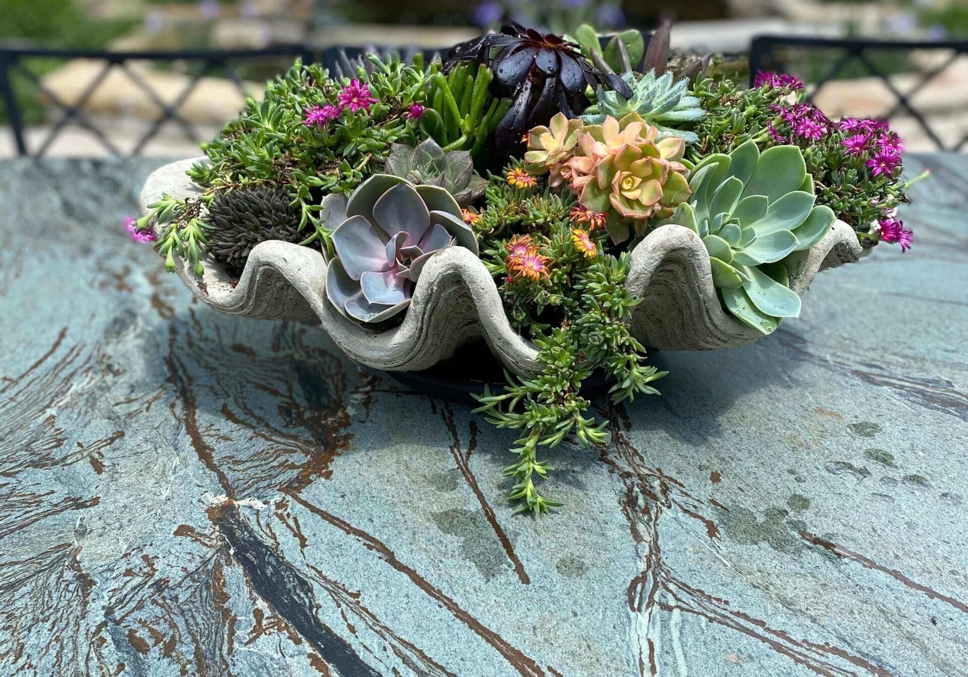 Succulent planter in Kansas City Custom flower display