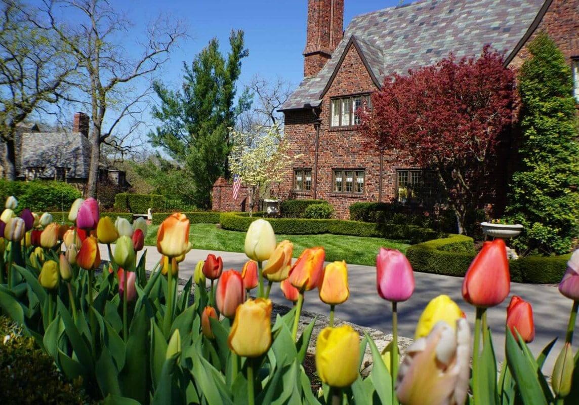 Kansas City Seasonal Color rotation for spring Seasonal Enhancements Kansas City, MO