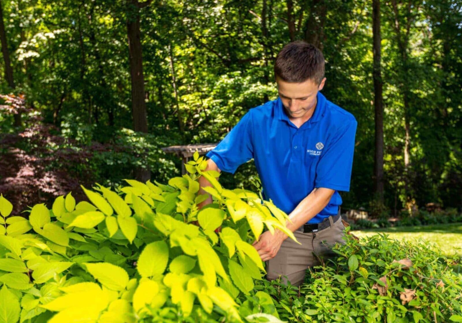 Olathe Outdoor Kitchens
