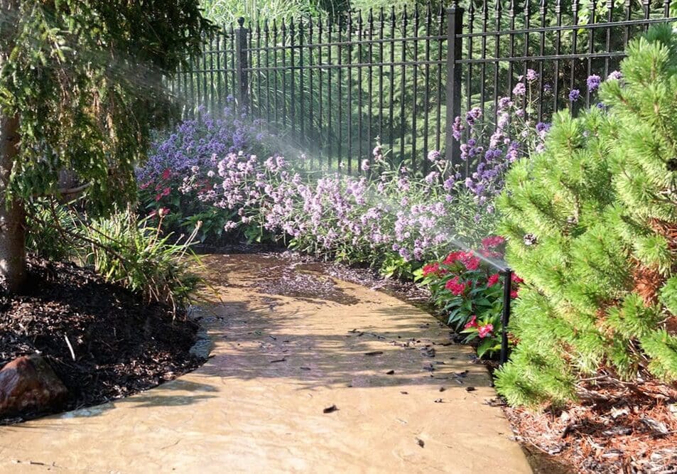 Water Plants Design kansas City