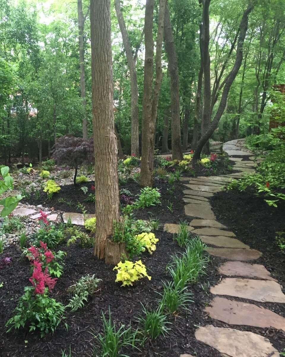 mini forest landscaping Kansas City